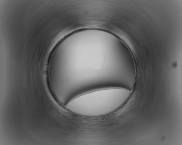 X0000101391093200807070959