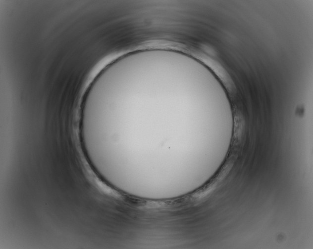 X0000101391094200807070959
