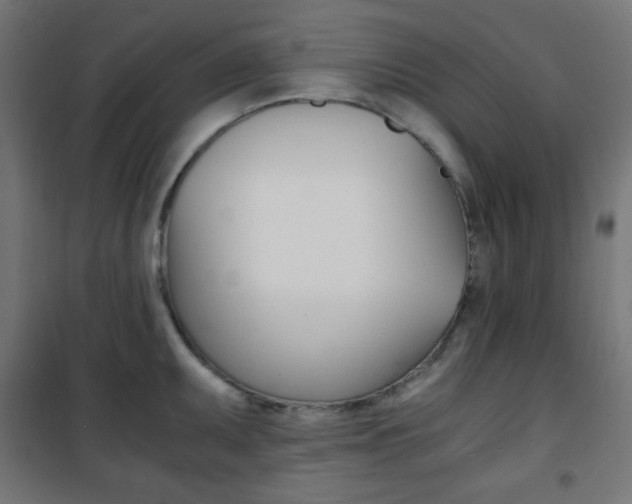 X0000101391095200807070959