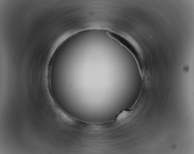 X0000101391096200807070959