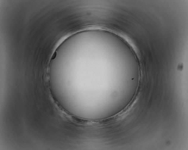 X0000101391097200807070959