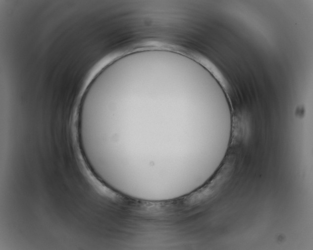 X0000101391098200807070959