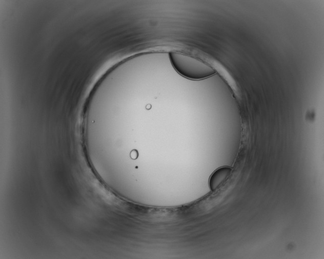 X0000101391099200807070959