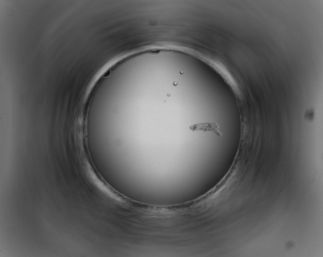 X0000101391100200807070959