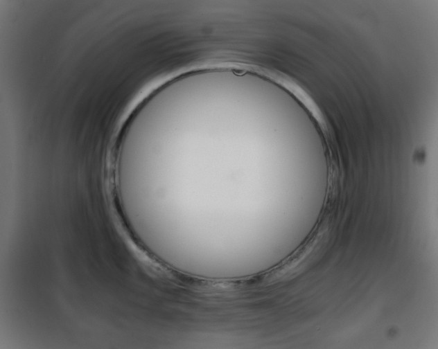 X0000101391101200807070959