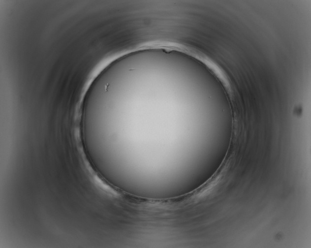 X0000101391102200807070959