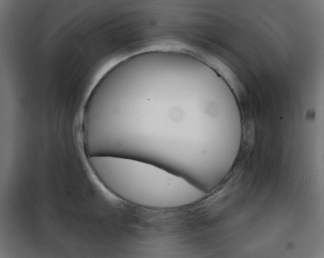 X0000101391103200807070959