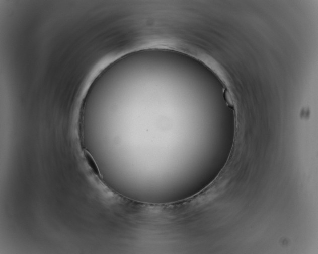 X0000101391104200807070959