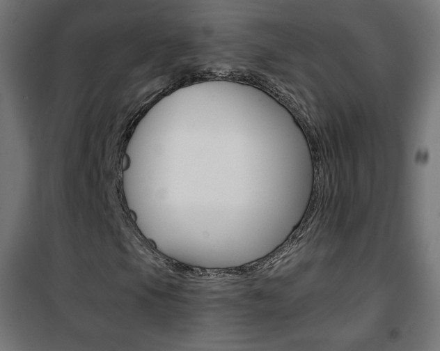 X0000101391105200807070958