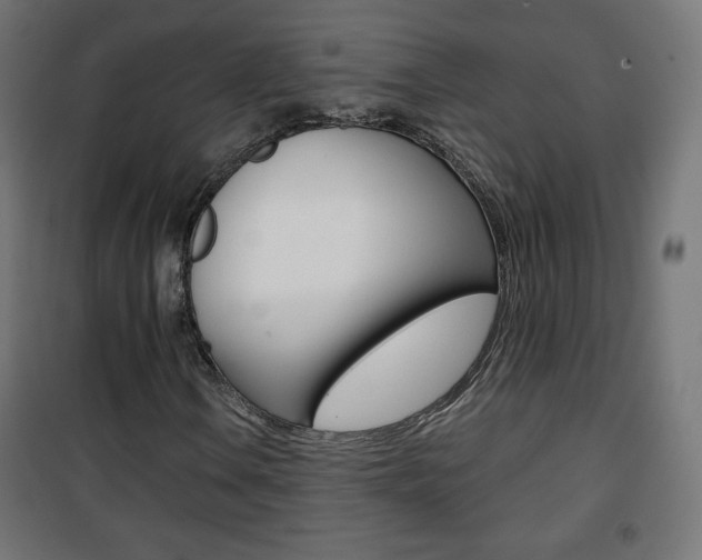 X0000101391106200807070958