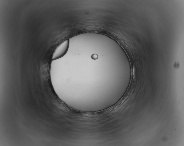 X0000101391107200807070958