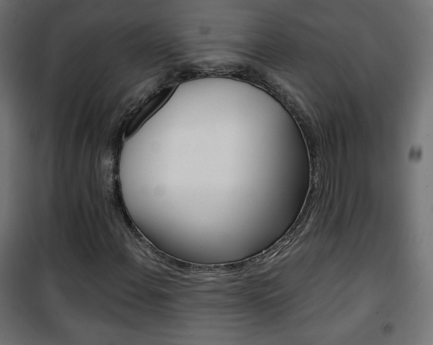 X0000101391108200807070958