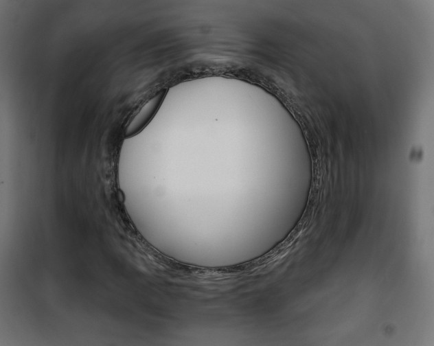 X0000101391109200807070958