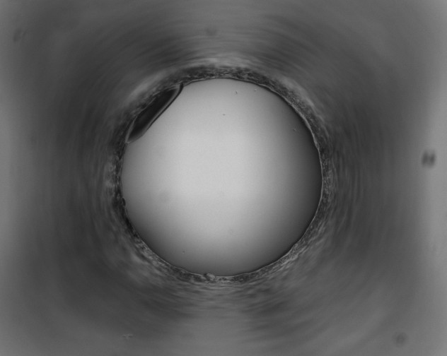 X0000101391110200807070958