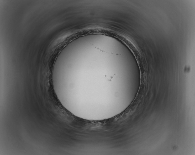 X0000101391111200807070958