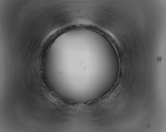 X0000101391112200807070958