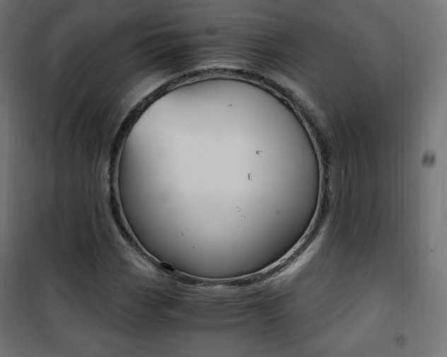 X0000101391113200807070958