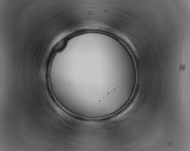 X0000101391114200807070958