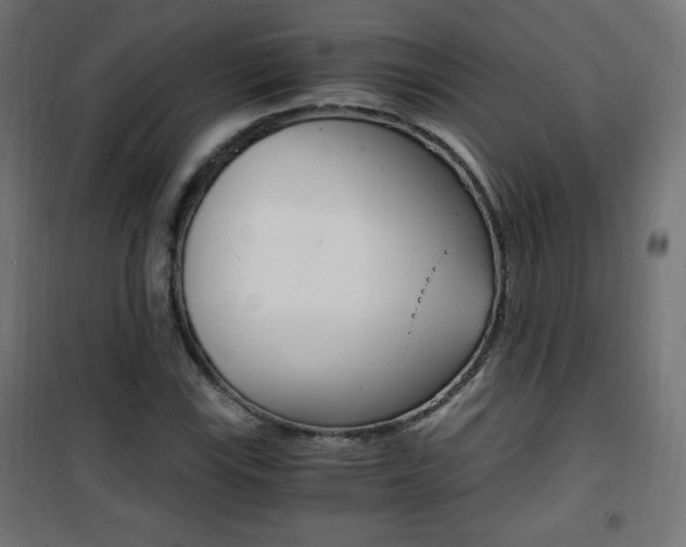 X0000101391115200807070958