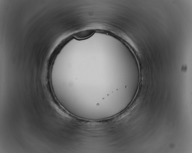 X0000101391116200807070958