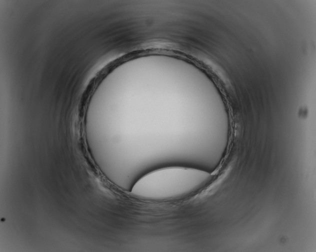 X0000101391117200807070958