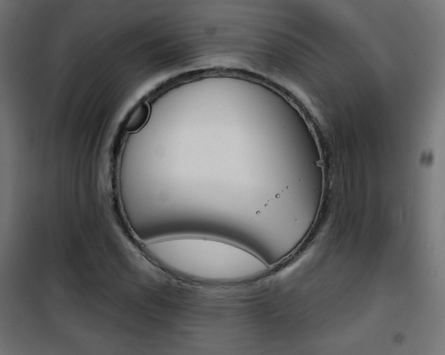 X0000101391118200807070958