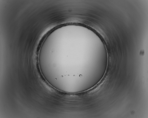 X0000101391119200807070958