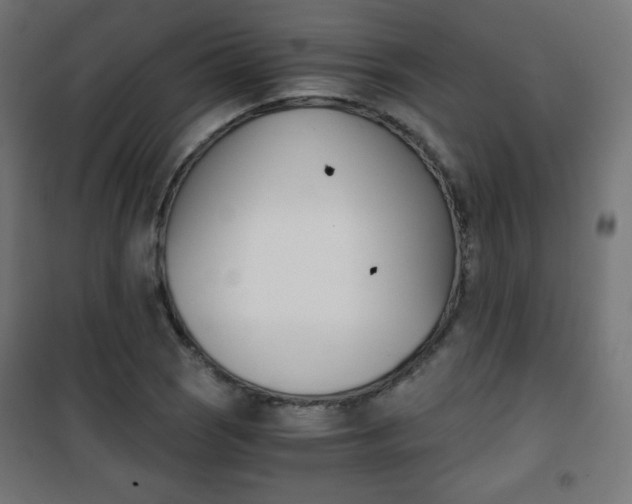 X0000101391121200807070958