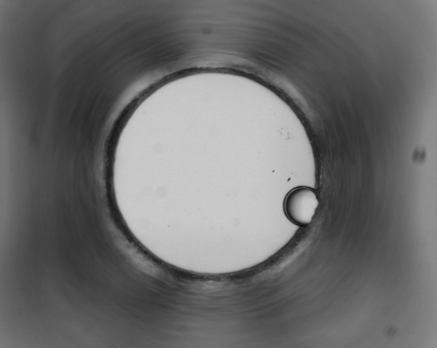 X0000101391122200807070958