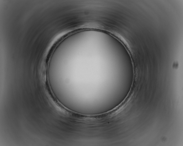 X0000101391123200807070958