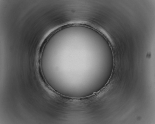 X0000101391124200807070958