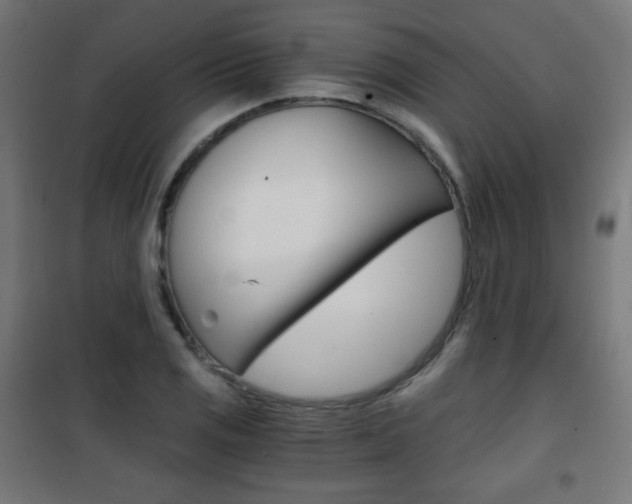 X0000101391125200807070958