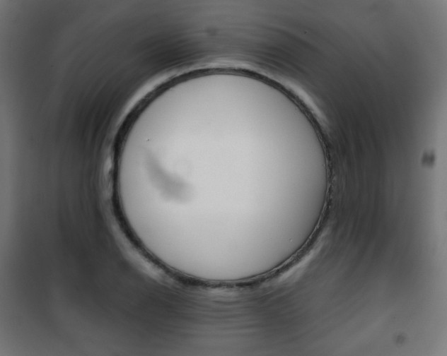 X0000101391126200807070958