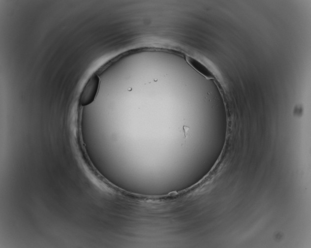 X0000101391128200807070958