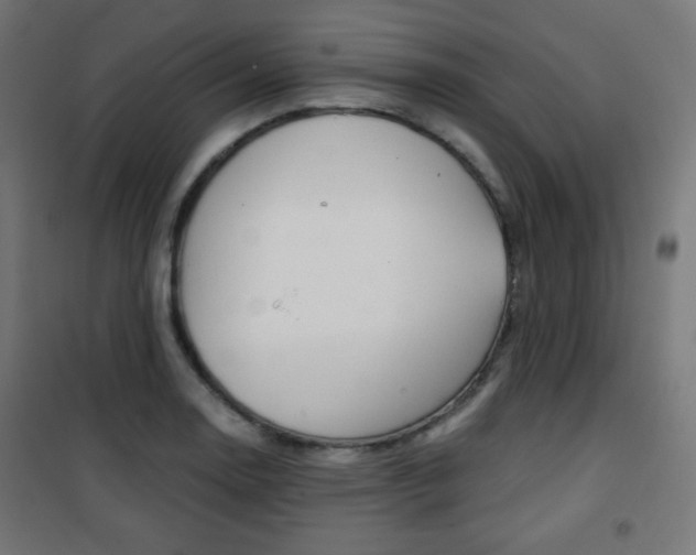 X0000101391130200807070958