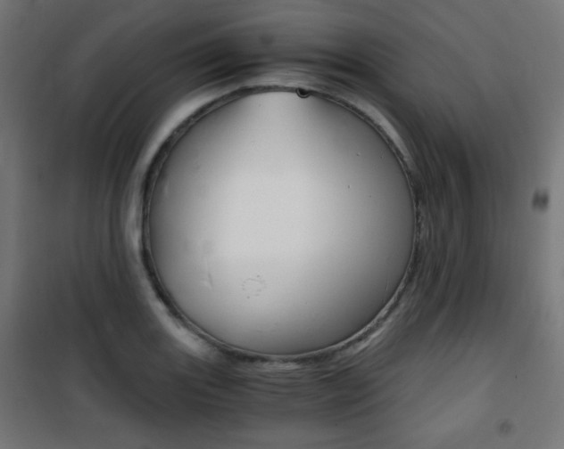 X0000101391131200807070958