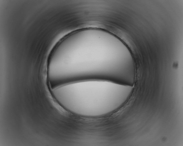X0000101391132200807070958