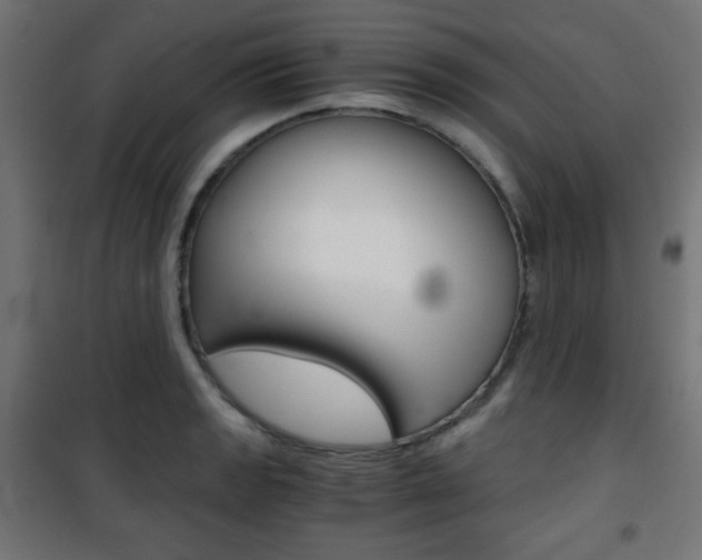 X0000101391133200807070958