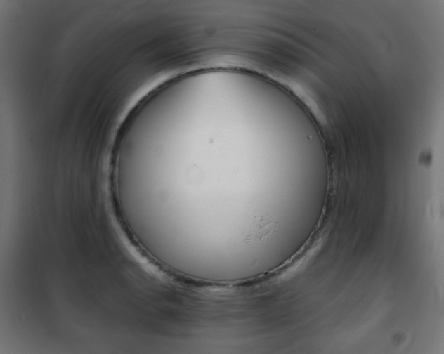 X0000101391134200807070958