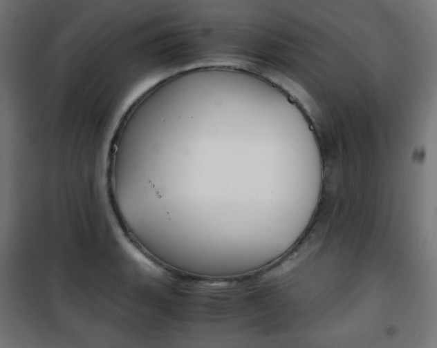 X0000101391135200807070958