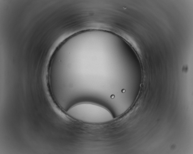 X0000101391136200807070958