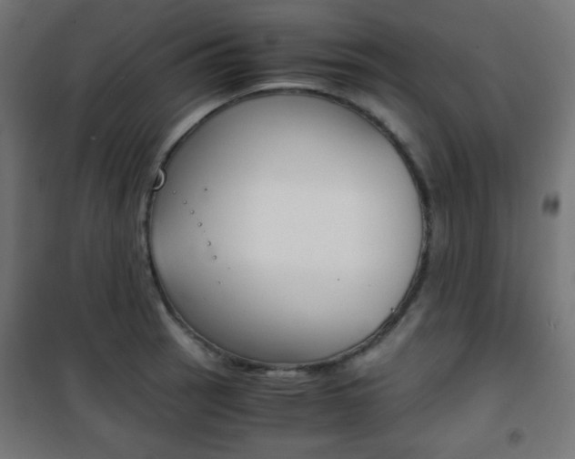 X0000101391137200807070958