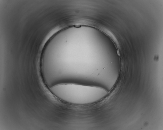 X0000101391138200807070958