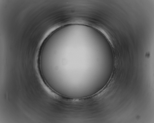 X0000101391139200807070959
