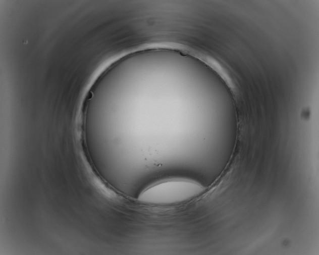 X0000101391140200807070959