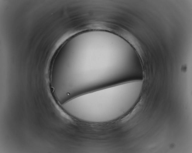 X0000101391141200807070959