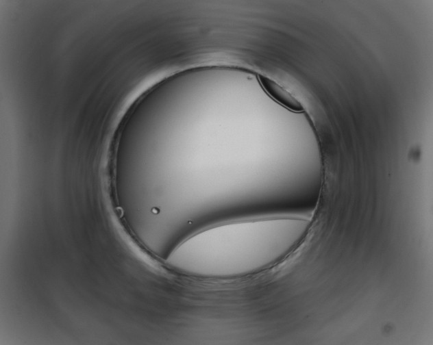 X0000101391142200807070959