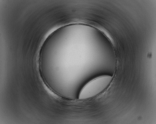 X0000101391143200807070959