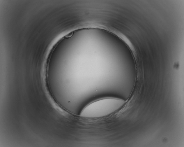 X0000101391144200807070959