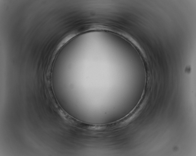 X0000101391145200807070959